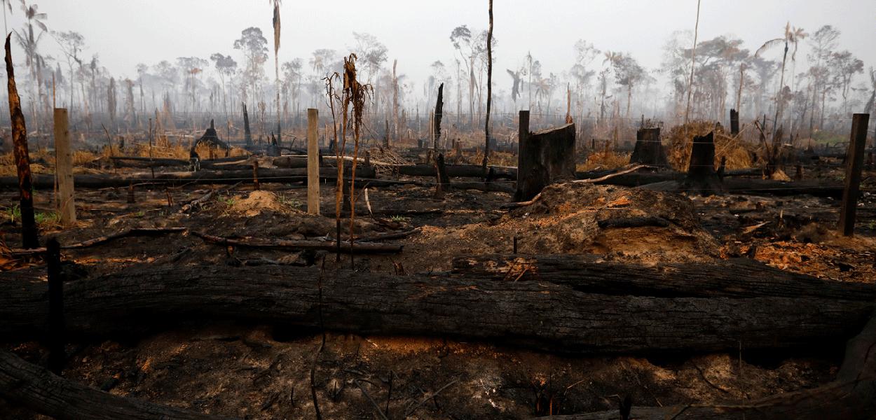 Queimadas na Amazônia