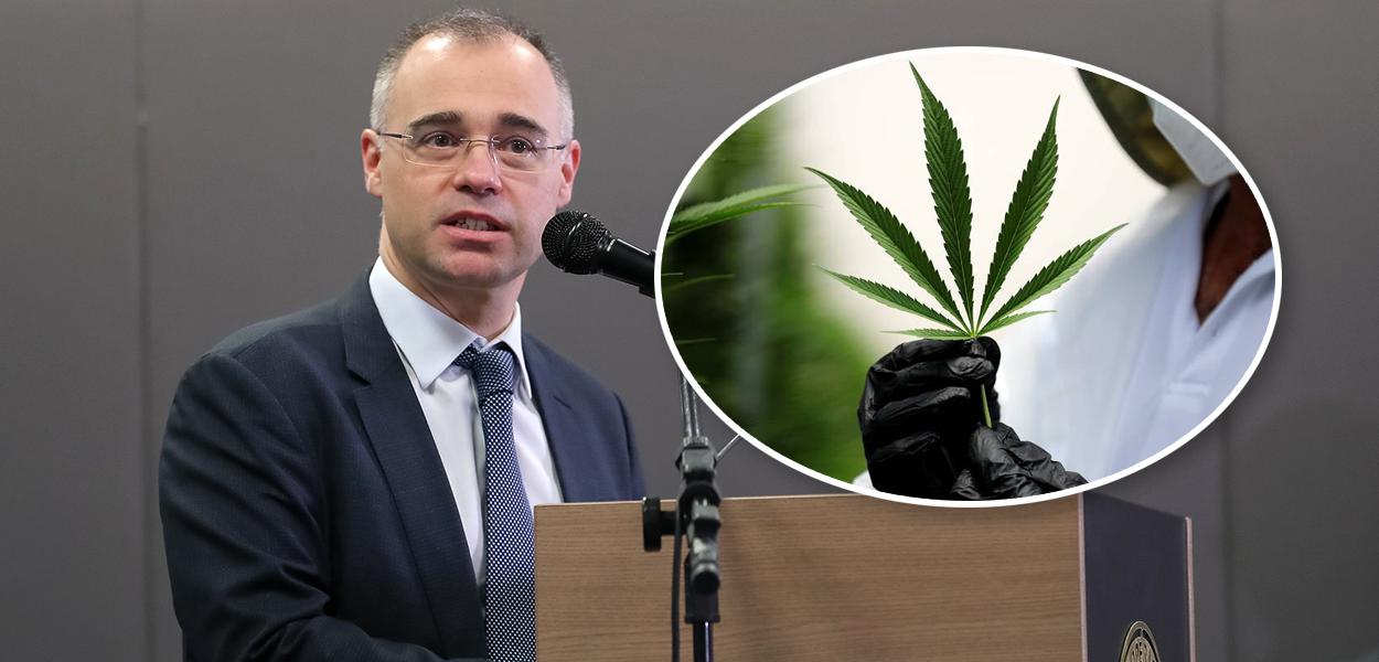 André Mendonça e folha de cannabis