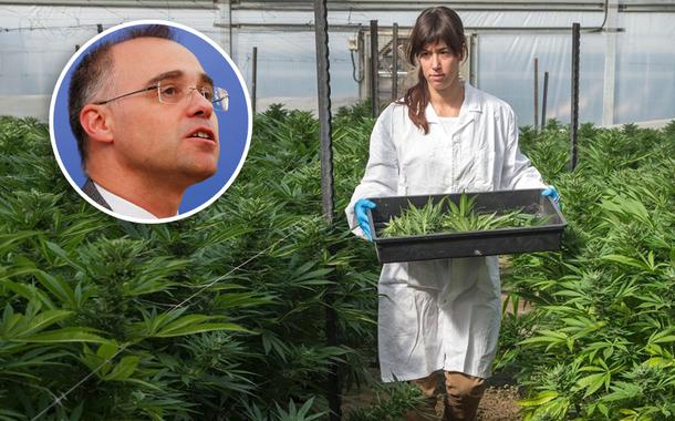 André Mendonça e funcionária da empresa Breath of Life Pharma em estufa de cannabis