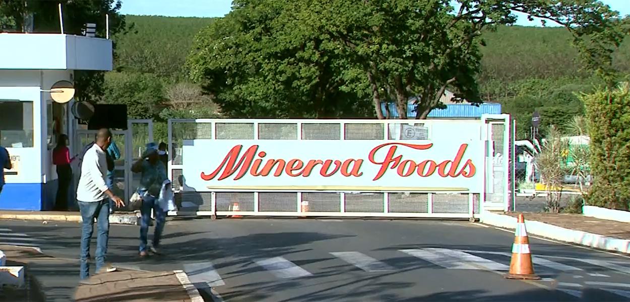 Minerva Foods