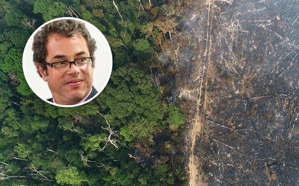 Hélio Schwartsman e vista aérea da Amazônia após queimadas perto de Apuí, no Amazonas