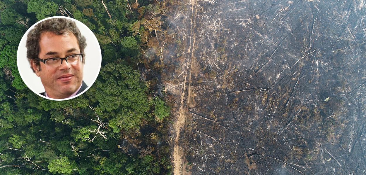 Hélio Schwartsman e vista aérea da Amazônia após queimadas perto de Apuí, no Amazonas