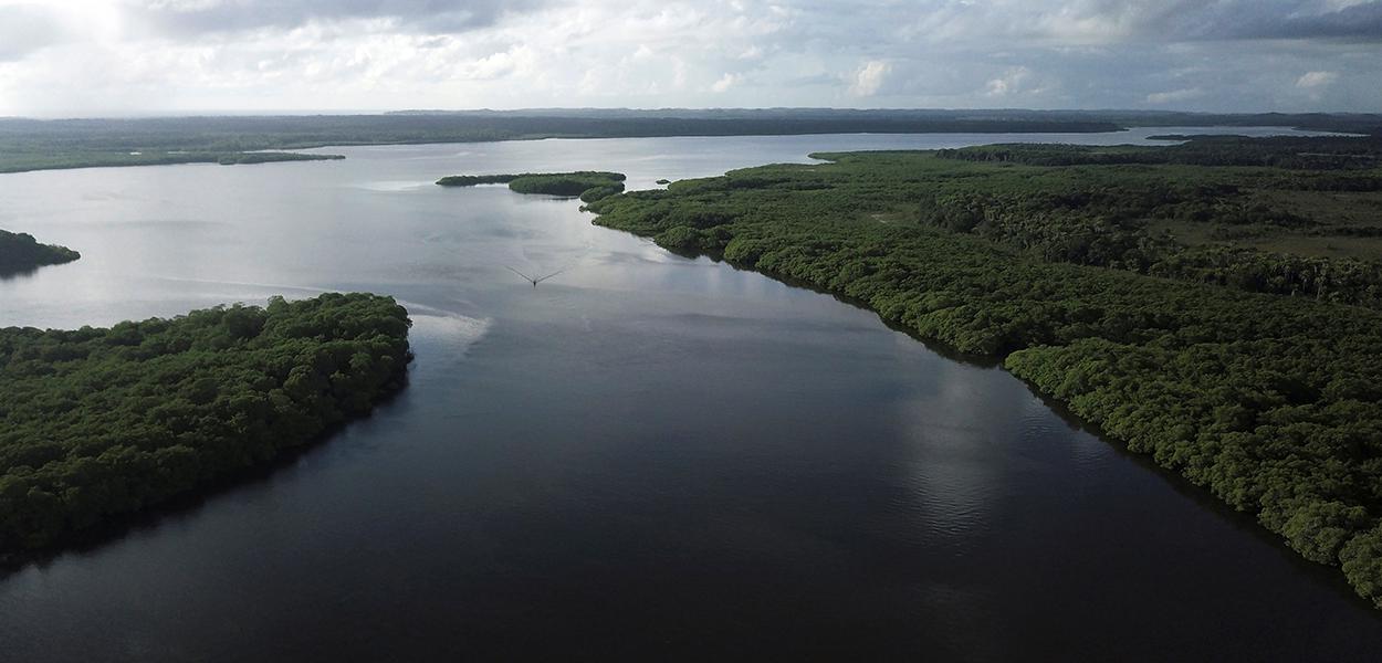 Vista de manguezal no rio Caratingui, em Cairu, Bahia. 5/4/2019