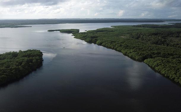 Vista de manguezal no rio Caratingui, em Cairu, Bahia. 5/4/2019
