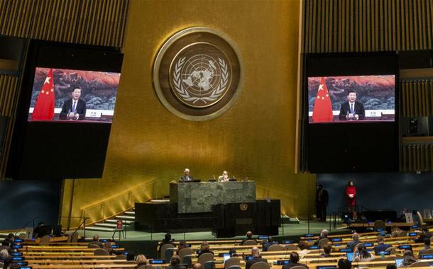 Videoconferência da ONU aborda luta pela igualdade de gênero