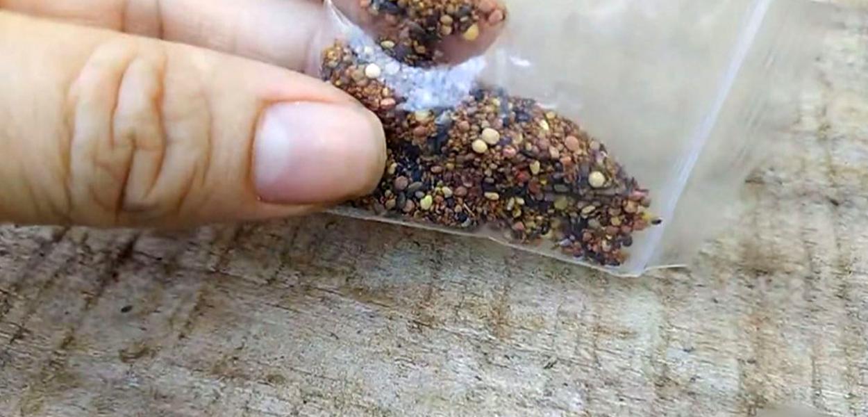Moradora de Itapetininga (SP) recebeu pacote com sementes misteriosas após compra em site chinês — Foto: Reprodução/TV TEM