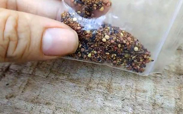Moradora de Itapetininga (SP) recebeu pacote com sementes misteriosas após compra em site chinês — Foto: Reprodução/TV TEM