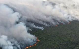 Incêndio na Chapada Diamantina