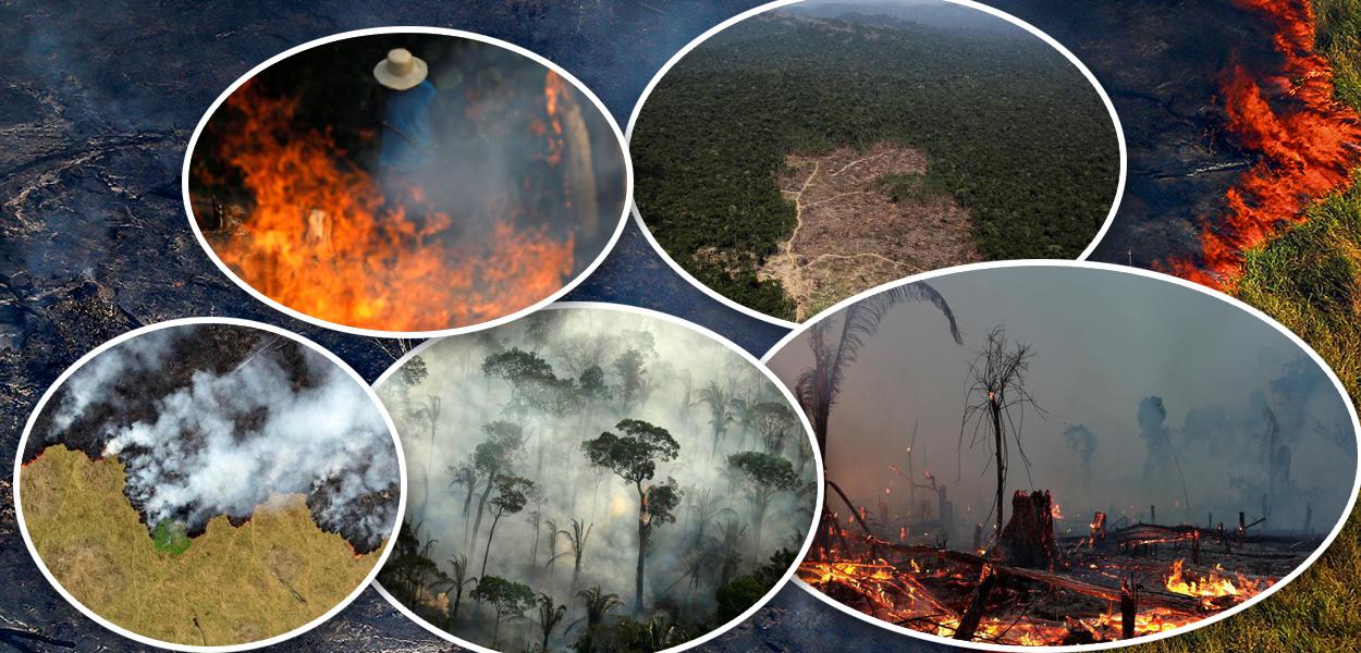 Sabotagem do trabalho do INPE na Amazônia exala cheiro de ilegalidade no MMA