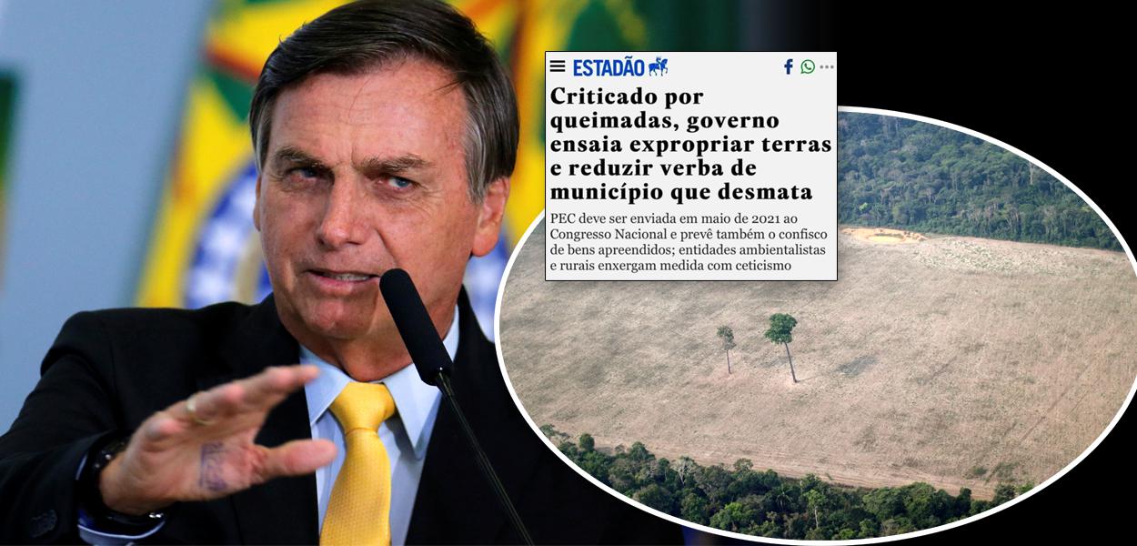 Jair Bolsonaro e desmatamento