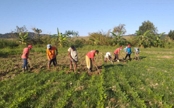 Assentados do MST sob risco de despejo produzem frutas, hortaliças e feijão. Tudo sem agrotóxico