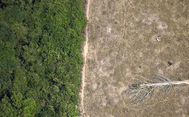 Área desmatada da Amazônia perto de Porto Velho, em Rondônia