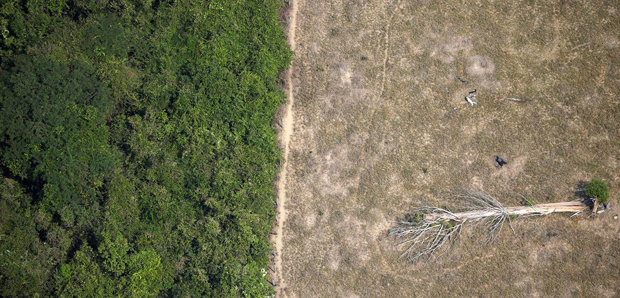 Área desmatada da Amazônia perto de Porto Velho, em Rondônia