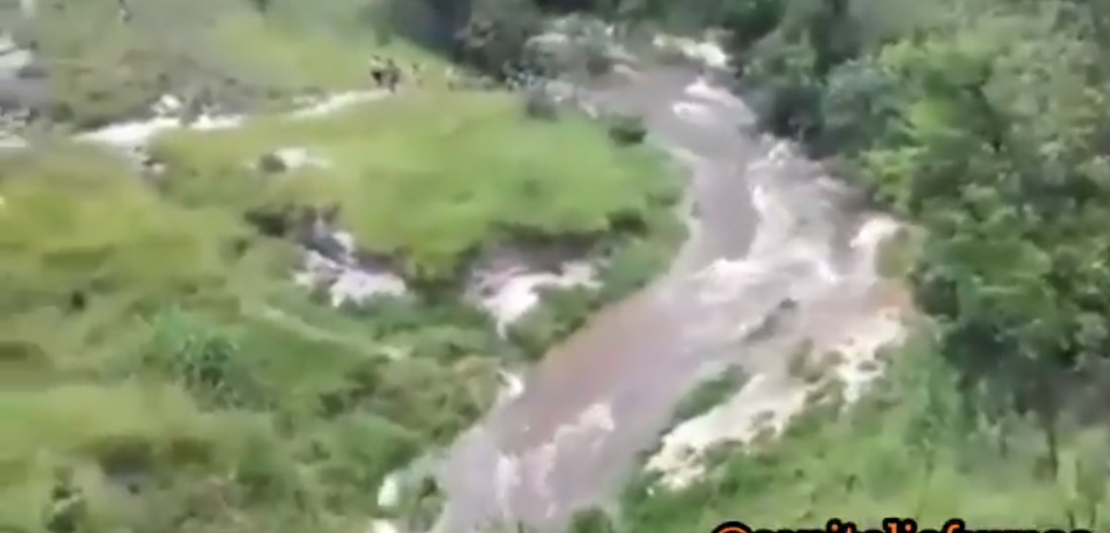 Cobra d´água em Capitólio, Sul de Minas, deixa vítimas