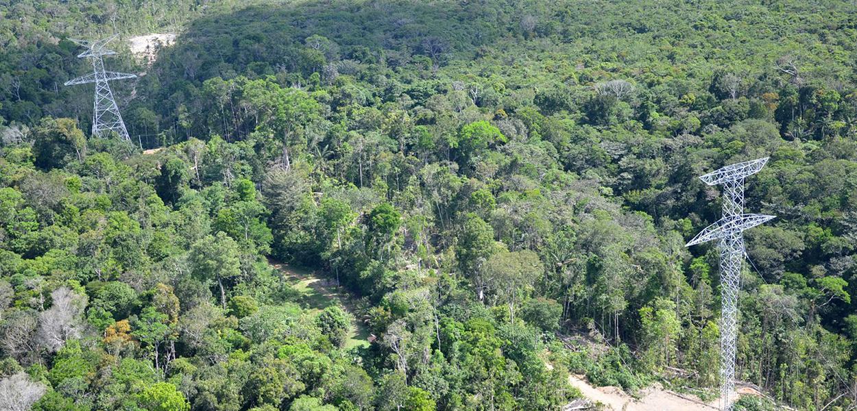 MPF/AM ajuiza ação contra Ipaam e Eletronorte 