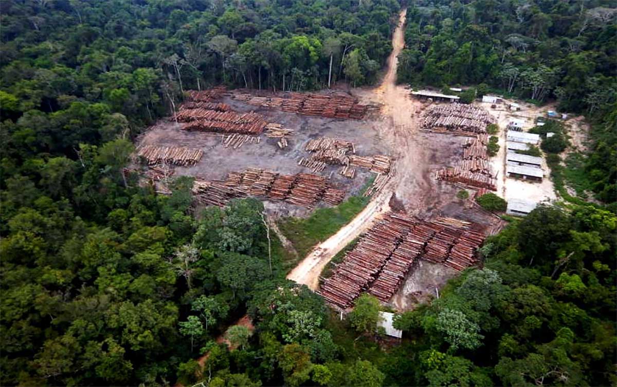 Amazônia