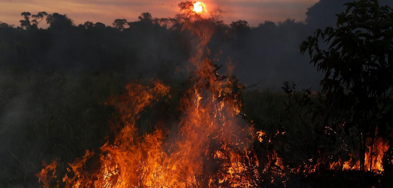 Queimadas no Amazonas