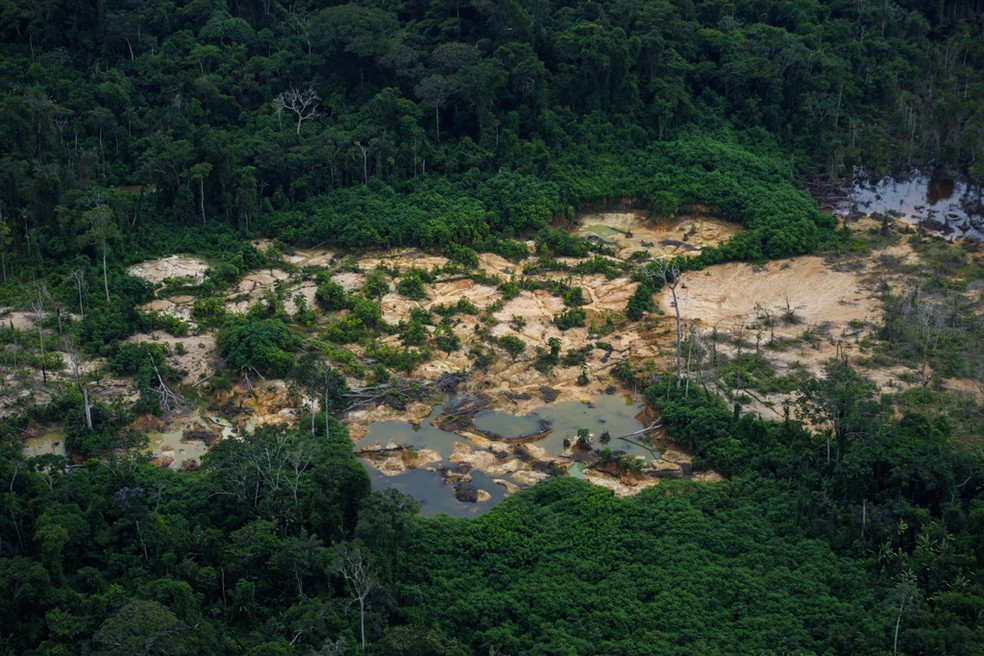 Garimpo na terra Yanomami, em Roraima