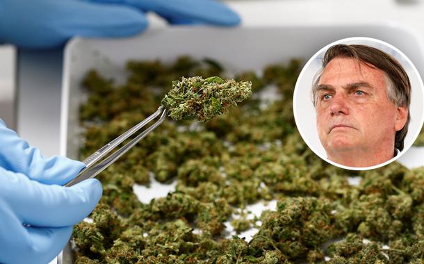 Maconha medicinal e Jair Bolsonaro