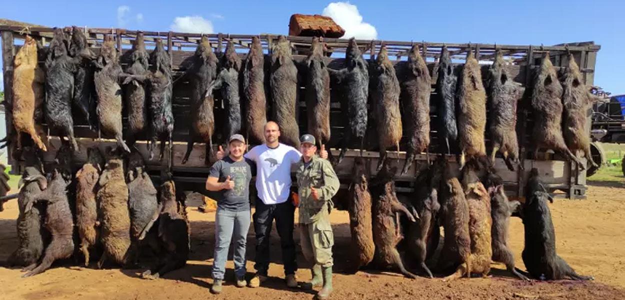 Eduardo Bolsonaro posa para foto com cadáveres de javalis caçados