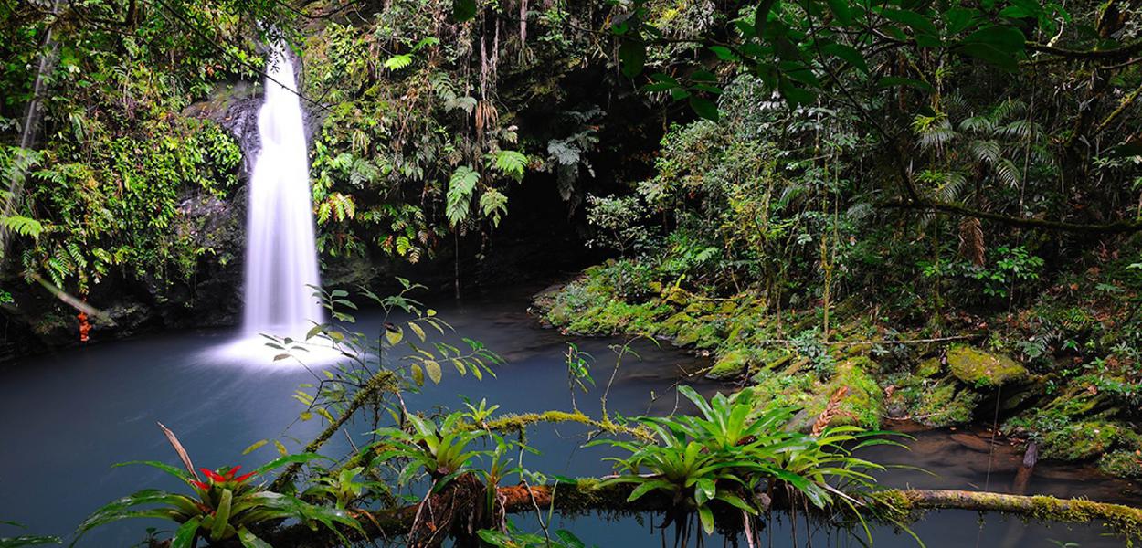 Mata Atlântica