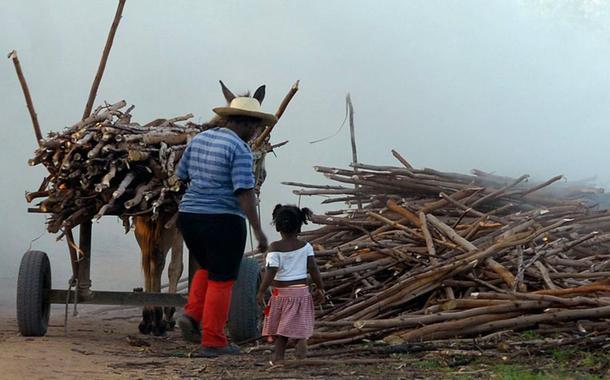 Brasil registra aumento de trabalho infantil entre crianças de 5 a 9 anos