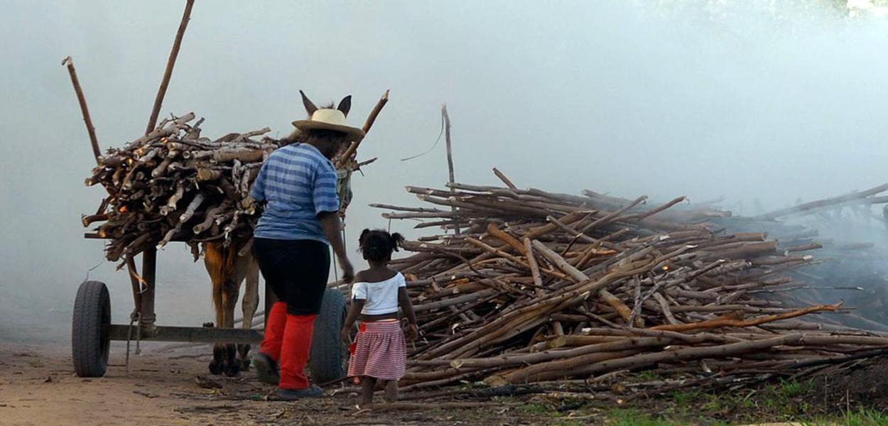 Brasil registra aumento de trabalho infantil entre crianças de 5 a 9 anos