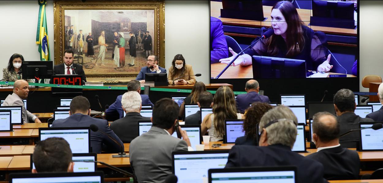 Comissão especial analisa o voto impresso