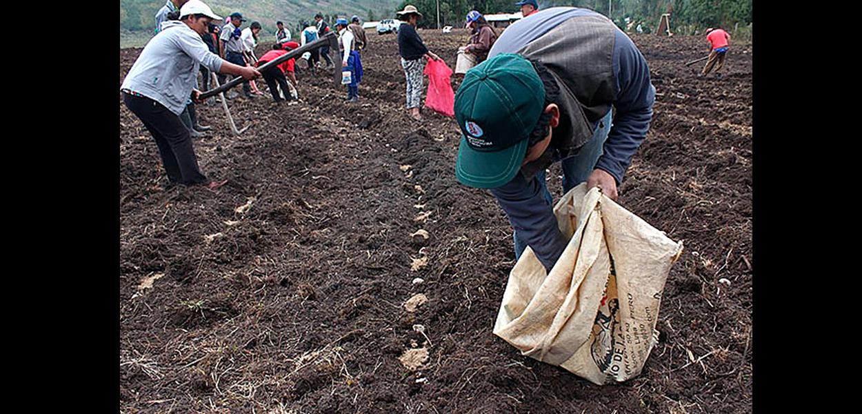 Nova lei irá reconhecer 300 novas cooperativas, além de oferecer crédito e assistência técnica a pequenos agricultores