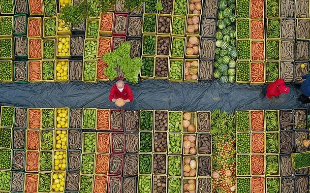 Lula visitou um assentamento de agricultura familiar do MST na região metropolitana de Recife