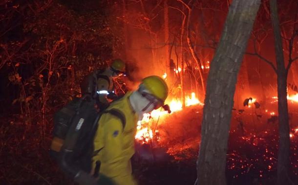 Bombeiros combatendo o fogo no Pantanal de MS