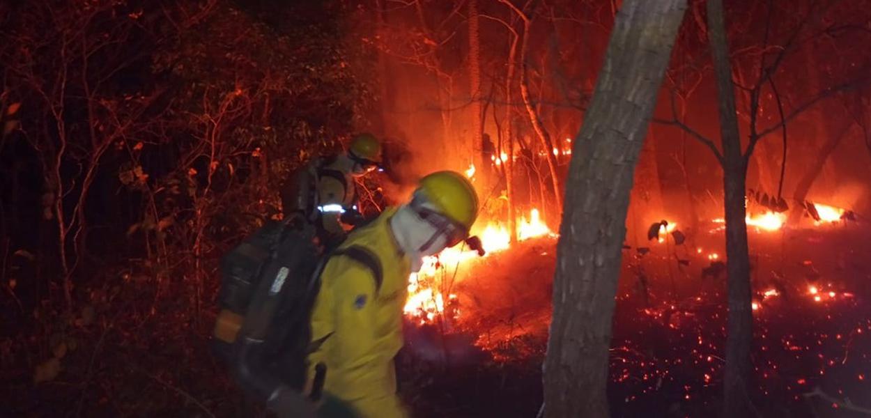 Bombeiros combatendo o fogo no Pantanal de MS