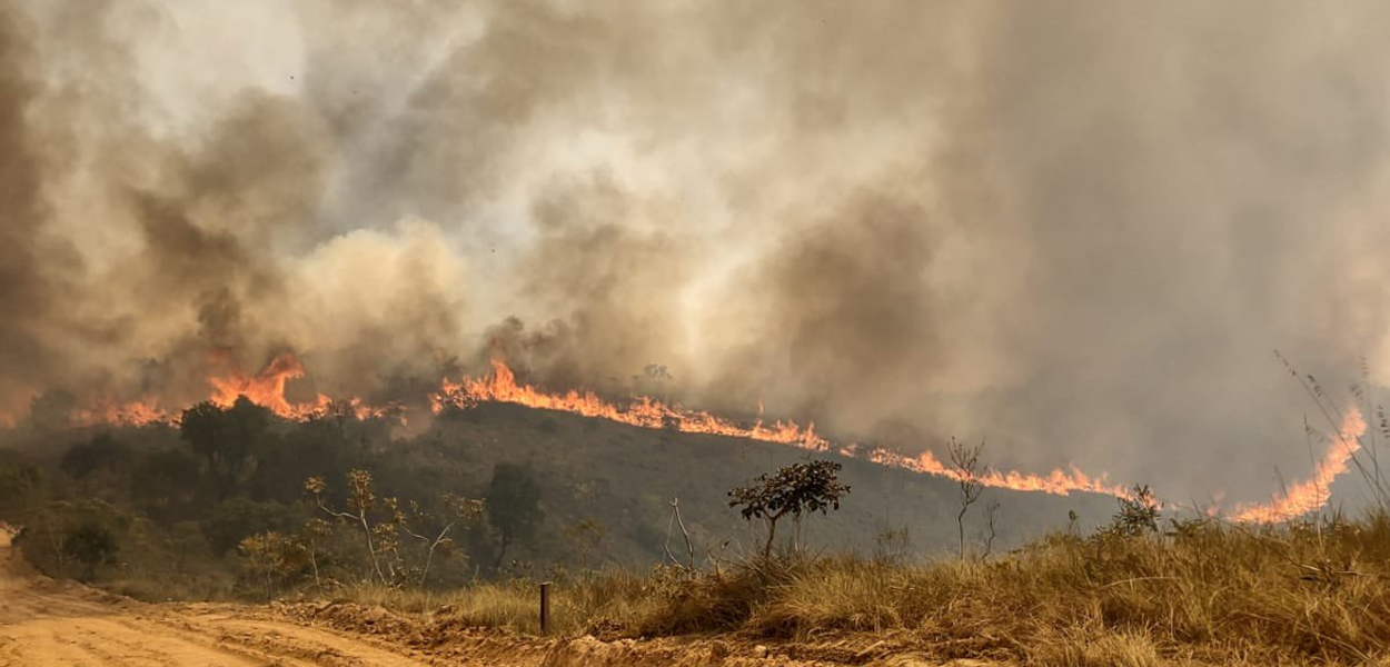 Incêndio no Parque Estadual do Juquery
