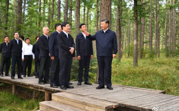 Xi Jinping em visita a região florestal