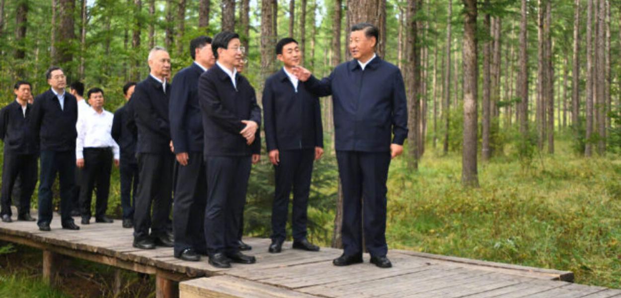 Xi Jinping em visita a região florestal