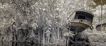 Foto de Antônio Saggese, em cartaz na exposição "Hiléia"