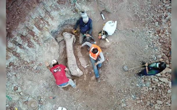 Imagem de drone mostra fóssil gigantesco de dinossauro achado em Davinópolis (MA)