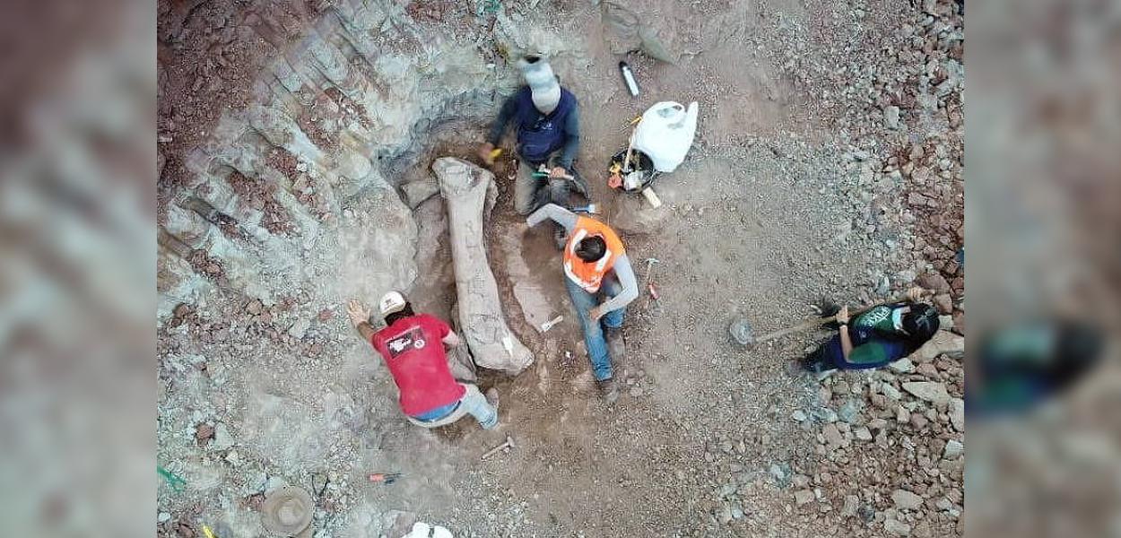 Imagem de drone mostra fóssil gigantesco de dinossauro achado em Davinópolis (MA)