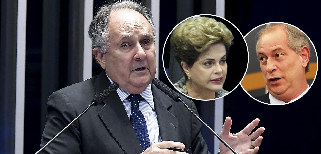 Cristovam Buarque, Dilma e Ciro Gomes