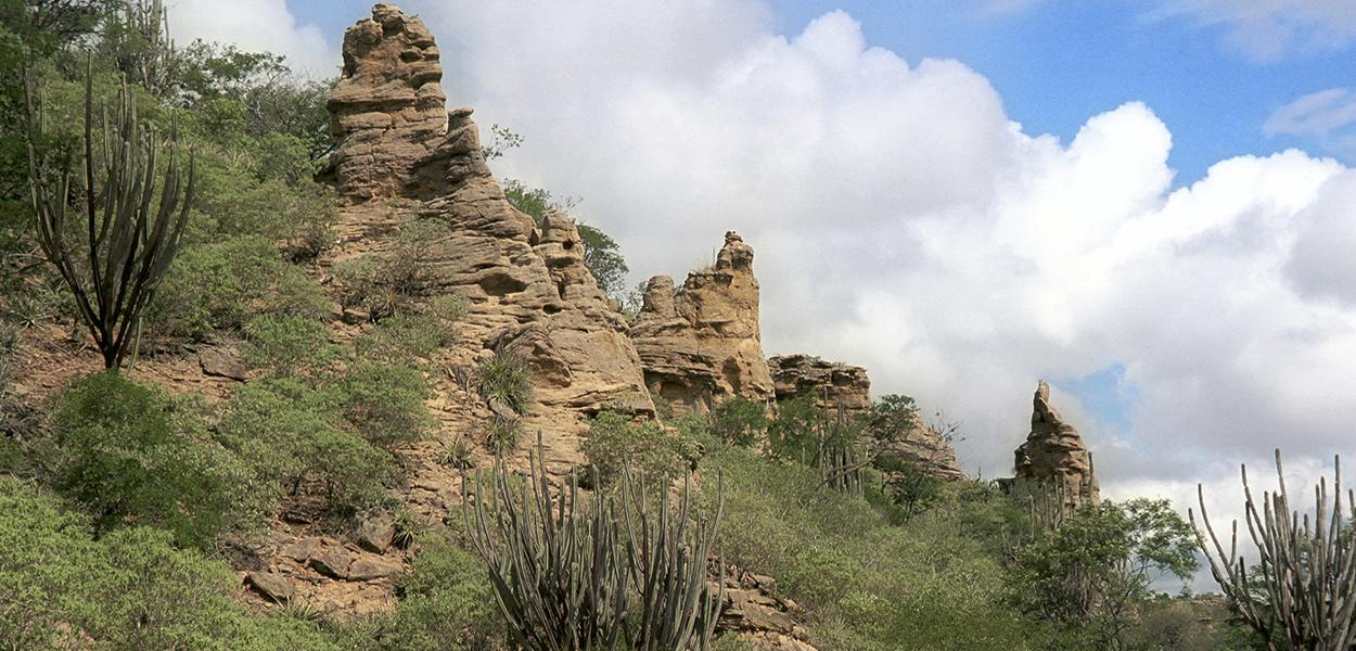  Caatinga -  Raso da Catarina - BA, cactos, Rio S. Francisco, Baixa do Chico
