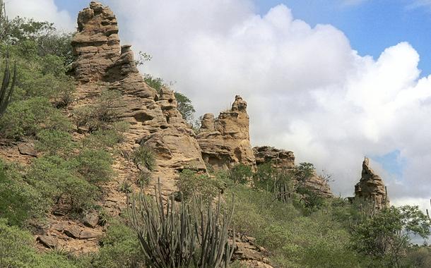  Caatinga -  Raso da Catarina - BA, cactos, Rio S. Francisco, Baixa do Chico
