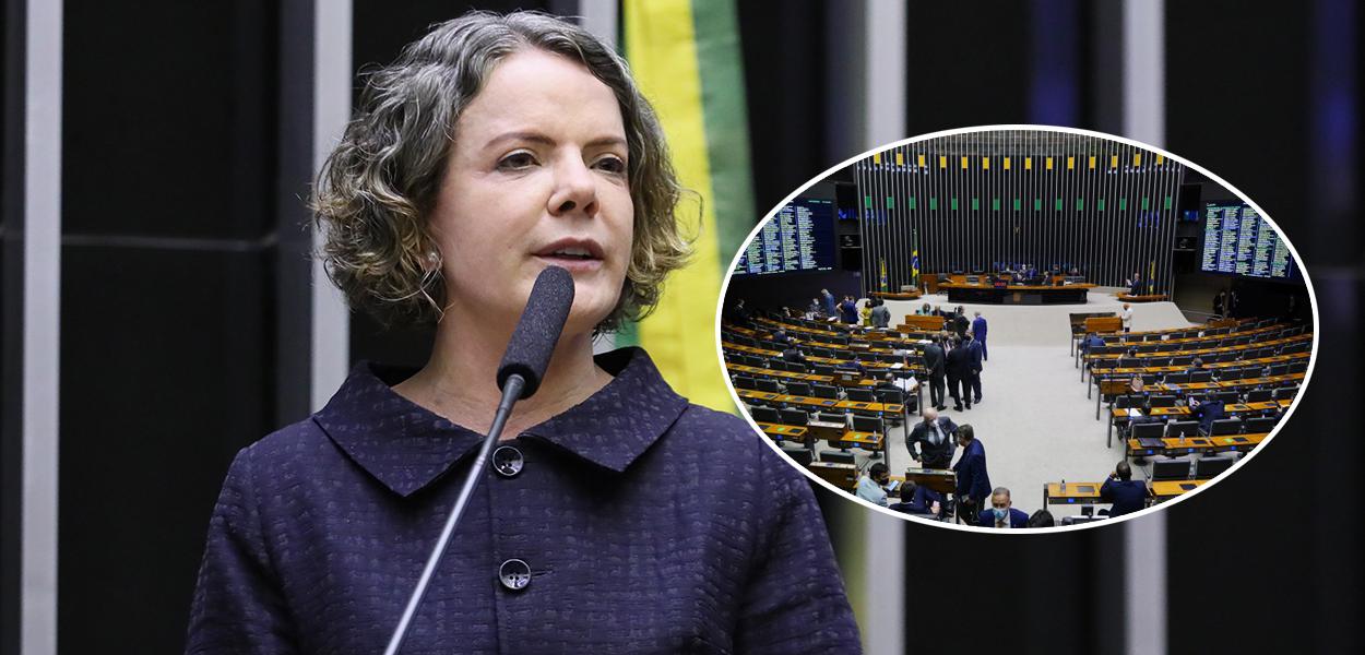 Gleisi Hoffmann e plenário da Câmara dos Deputados