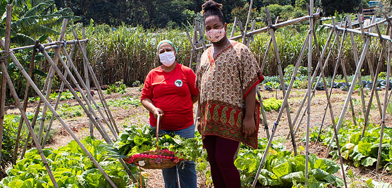 Suely e Kelvin colhem vegetais para o almoço coletivo das 450 famílias do Acampamento Marielle Vive, em Valinhos