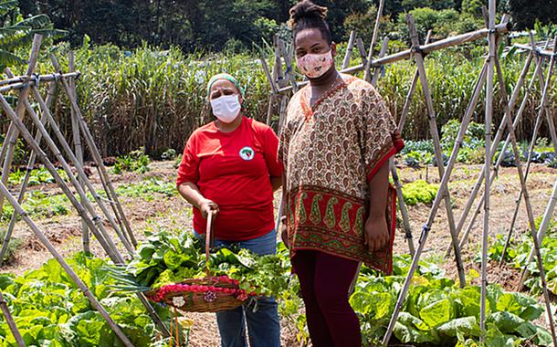 Suely e Kelvin colhem vegetais para o almoço coletivo das 450 famílias do Acampamento Marielle Vive, em Valinhos