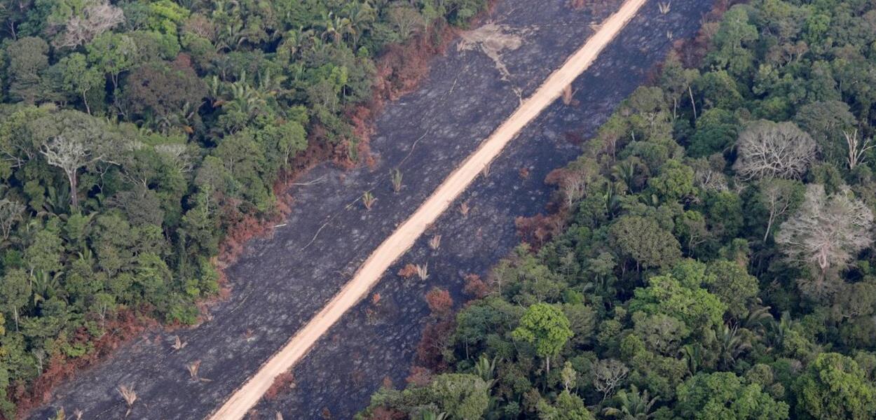 Vista aérea de área desmatada na floresta amazônica perto de Porto Velho