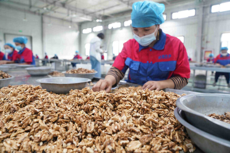 Trabalhadora em Xinjian, na China