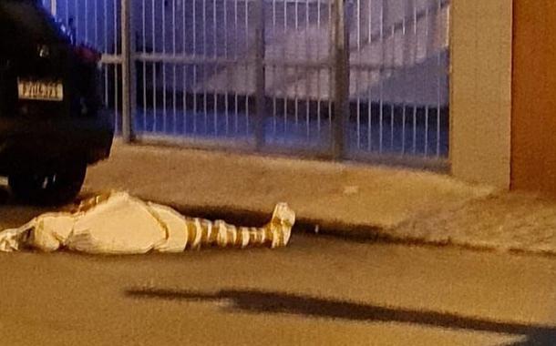 Múmia em Santos (SP)