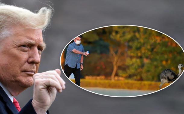 Donald Trump e Bolsonaro oferecendo cloroquina para uma ema