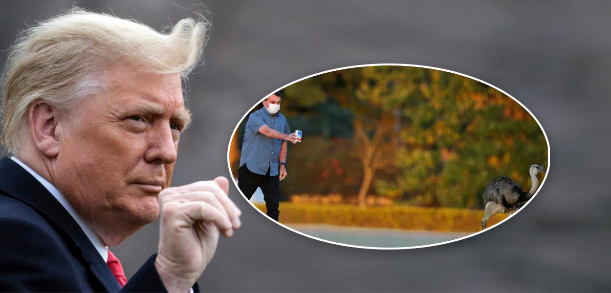 Donald Trump e Bolsonaro oferecendo cloroquina para uma ema