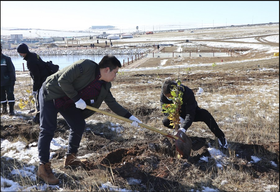 Pessoas plantam árvores no distrito de Nalaikh em Ulan Bator, Mongólia